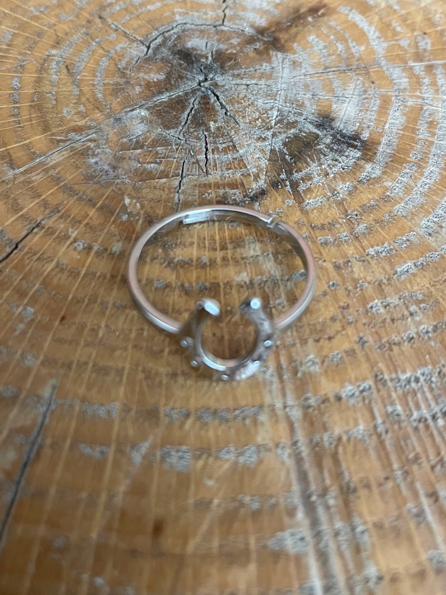 Horseshoe Adjustable Ring